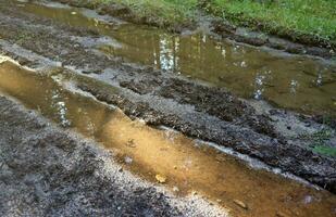 Muddy tracks with puddles on wet muddy surface in forest path photo