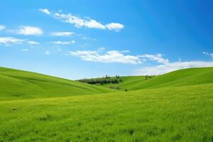 AI generated green grass hill and blue sky photo