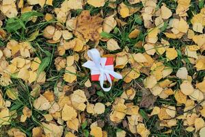 caja de regalo en hojas caídas de otoño en el suelo en el parque foto