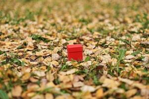 caja de regalo en hojas de otoño, espacio de copia foto