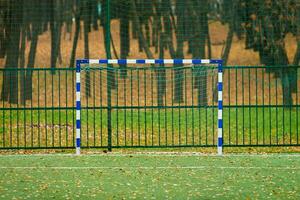 Artificial grass, sport field cover with soccer goal photo