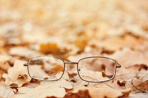 concepto de pérdida de visión de otoño foto