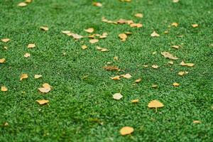 Artificial grass, sports field cover photo