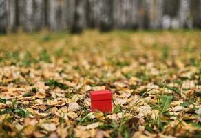 caja de regalo en hojas de otoño, espacio de copia foto