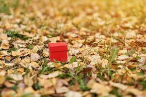 caja de regalo en hojas de otoño, espacio de copia foto