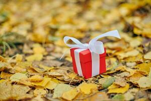Gift box in autumn leaves photo