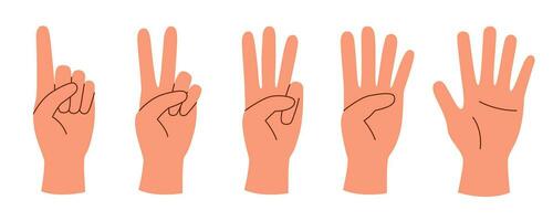 Hands set with numbers vector