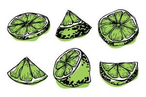 Vector lime clipart. Hand drawn citrus set. Fruit illustration. For print, web, design, decor