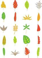 Tropical Leaves Element Set vector