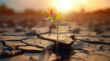 ai generado planta en seco agrietado lodo. global calentamiento y clima cambio concepto foto