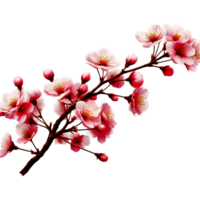 ai generato un' trasparente sfondo con un' grappolo di bellissimo giapponese sakura ramo png