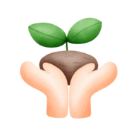 Cartoon drawing of hands holding a sapling, clip art of hands holding a sapling for other art designs, Earth Day, Save the Earth drawing. png