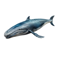 ai généré bleu baleine sur transparent Contexte établi avec génératif ai La technologie png