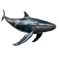 AI generated blue whale on transparent background created with generative AI technology png