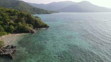 antenne visie van tropisch Woud in karimunjawa eiland, Indonesië, bovenstaand bomen en natuur Woud top naar beneden visie video