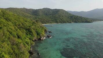 Aerial view of tropical forest in Karimunjawa island, Indonesia, above trees and nature forest top down view video
