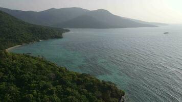 Aerial view of tropical forest in Karimunjawa island, Indonesia, above trees and nature forest top down view video