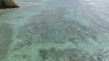 aereo Visualizza di barriere nel karimunjawa, corallo costa ambientale protezione la zona, karimunjawa, jepara, Indonesia. video