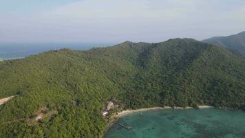 Aerial view of tropical forest in Karimunjawa island, Indonesia, above trees and nature forest top down view video