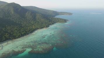 aérien vue de tropical forêt dans karimunjawa île, Indonésie, au dessus des arbres et la nature forêt Haut vers le bas vue video