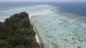 aereo Visualizza di a distanza isola nel karimunjawa isole, jepara, Indonesia. corallo scogliere, bianca sabbia spiagge. superiore turista destinazione, migliore immersione snorkeling. video