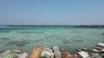 aéreo Visão do residencial áreas dentro karimunjawa ilhas, jepara, Indonésia. video