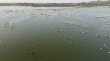 Aerial sunset view of cultivate fish on the lake such as cat fish is alternative to divers the food nutrition. video