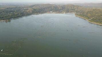 Aerial sunset view of cultivate fish on the lake such as cat fish is alternative to divers the food nutrition. video