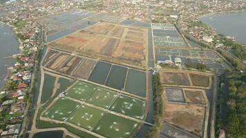 Aerial view of prawn farming with with aerator pump oxygenation water near ocean. video