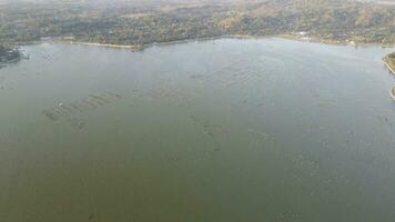 Aerial sunset view of cultivate fish on the lake such as cat fish is alternative to divers the food nutrition. video