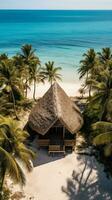 AI generated Aerial View of an Isolated Thatched Hut on a Tropical Beach with Copyspace photo
