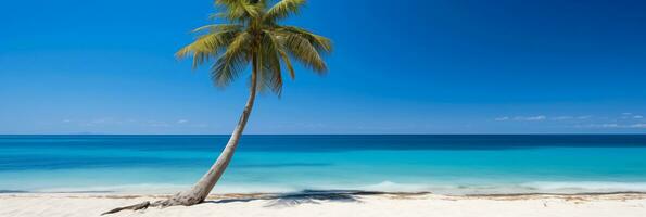 ai generado un parte superior abajo ver de un solitario palma árbol y sus sombra en un Perfecto playa con espacio para texto a mediodía foto