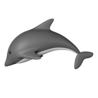 delfino 3d icona illustrazione png