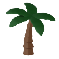 3d rendered palm tree isolated icon png