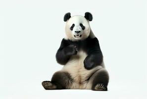 ai generado hermosa panda oso en blanco participación sus patas foto