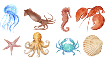 AI generated cartoon set of cute marine biota isolated on transparent background png