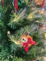 Christmas tree, green bow, and red glass ball hanging from a pine branch during the Christmas celebration. photo