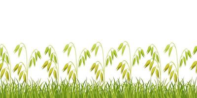 Seamless stripe of oats in grass for design. Green border of field grass. vector