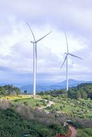 Beautiful landscape in the morning at Cau Dat, Da Lat city, Lam Dong province. Wind power on tea hill, morning scenery on the hillside of tea planted photo