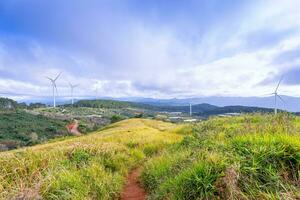 hermosa paisaje en el Mañana a cau eso, da lat ciudad, justicia polla provincia. viento poder en té colina, Mañana paisaje en el ladera de té plantado foto