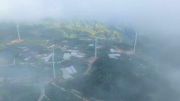 Beautiful landscape in the morning at Cau Dat, Da Lat city, Lam Dong province. Wind power on tea hill, morning scenery on the hillside of tea planted photo