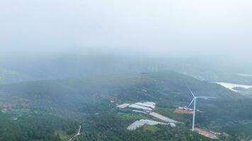 hermosa paisaje en el Mañana a cau eso, da lat ciudad, justicia polla provincia. viento poder en té colina, Mañana paisaje en el ladera de té plantado foto