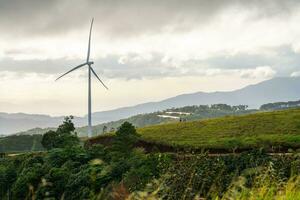 hermosa paisaje en el Mañana a cau eso, da lat ciudad, justicia polla provincia. viento poder en té colina, Mañana paisaje en el ladera de té plantado foto