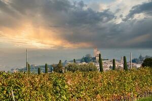 autumn landscapes of the Piedmontese Langhe with the bright colors of autumn in November photo