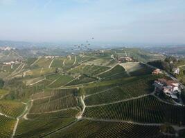 paisajes de el piamontés langhe fotografiado por zumbido desde un aéreo punto de ver y con otoño colores foto