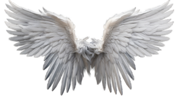 AI generated White wings isolated on a transparent background. png