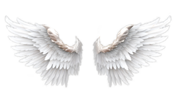 AI generated White wings isolated on a transparent background. png