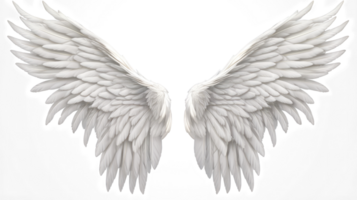 AI generated White wings isolated on a transparent background. png