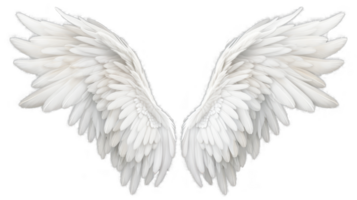 AI generated White wings isolated on a transparent background. png