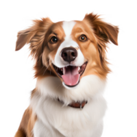 AI generated Dog on transparent background. png